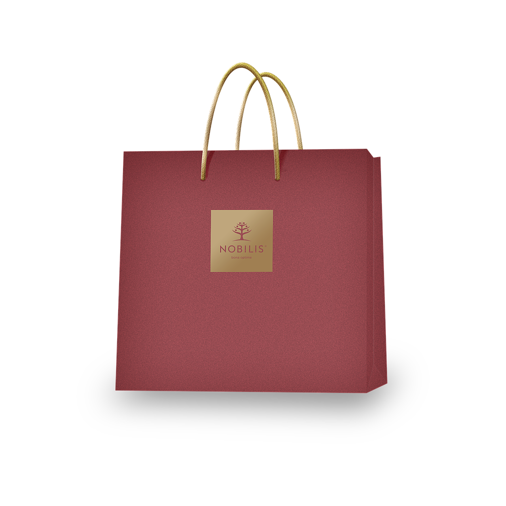 Medium Gift bag 