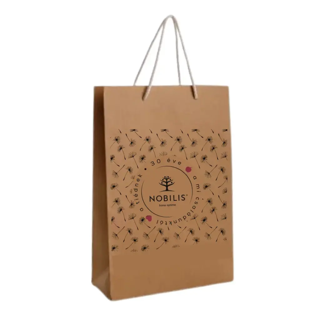 Medium Gift bag 