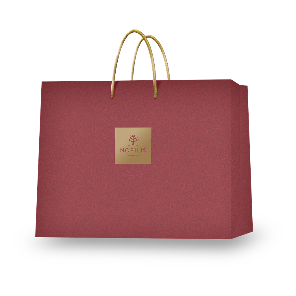 Large Gift bag 