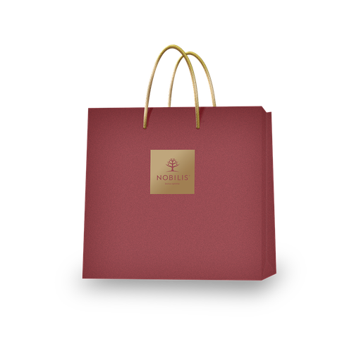 [1882_D] Medium Gift bag 