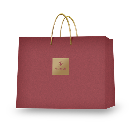 [1882_D_F_D] Large Gift bag 